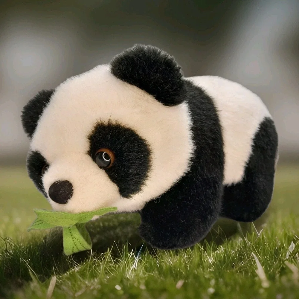 Smithsonian National Zoo Panda Bear 10